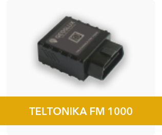 Teltonika FM 100